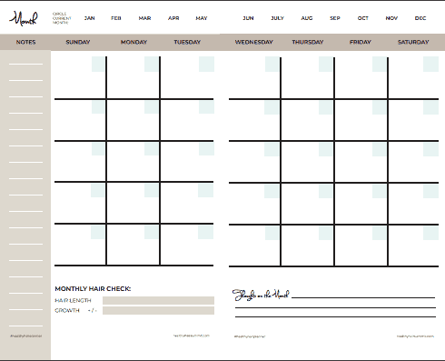 Natural Healthy Hair Regimen Planner