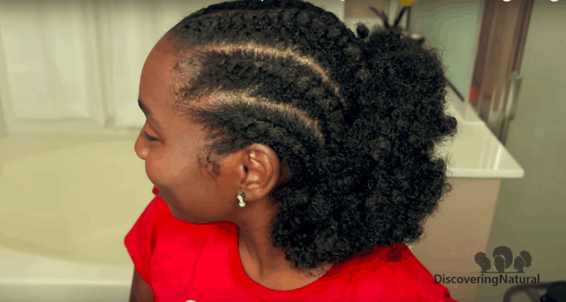 Half Flat Twist Puff Natural Hair Protective Hairstyle