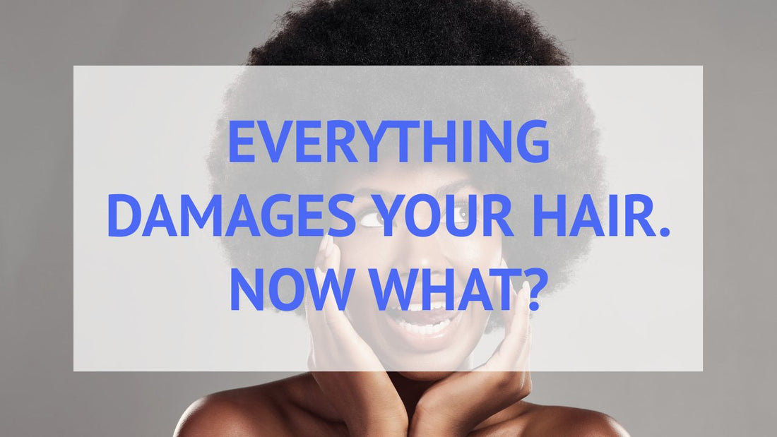 Damaged Hair By Everything. Now what?