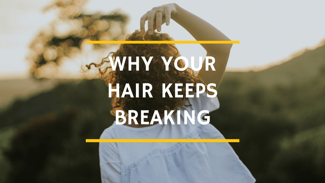 Why Your Hair Keeps Breaking!