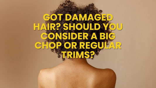 Got Damaged Hair? Should You Consider A Big Chop Or Regular Trims?