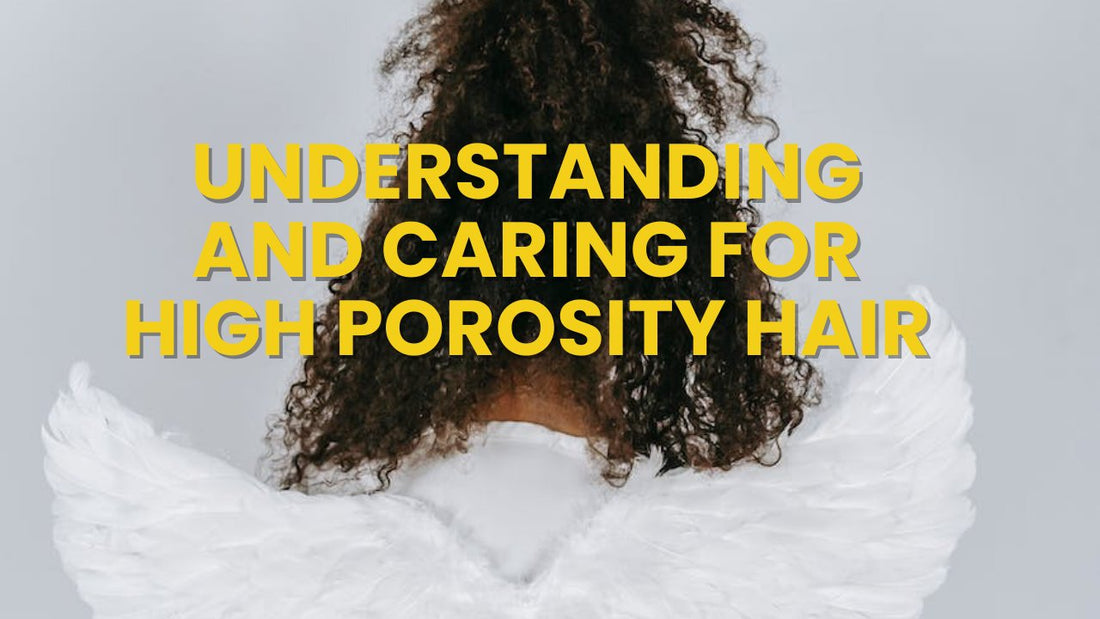 Understanding and Caring for High Porosity Hair