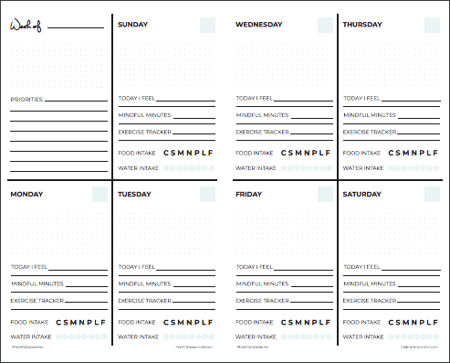 Haircare Routine Planner